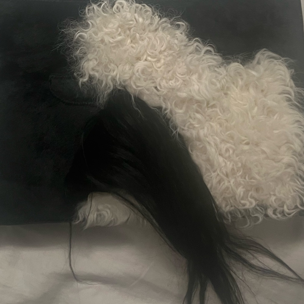 Calf hair and sheepskin bag Philip Lim crossbody bag - never used - Picture 4 of 5